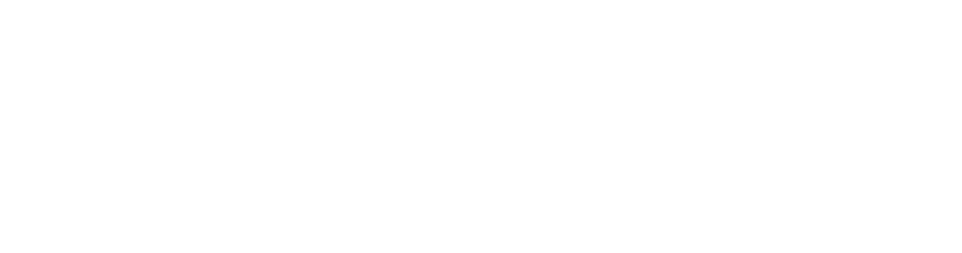 Modus Duo Logo